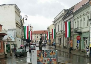 steaguri ungare